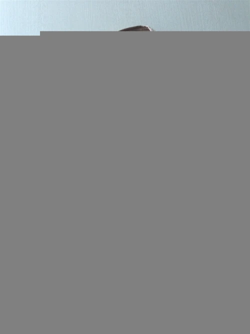 ÁO BẢO HỘ LAO ĐỘNG