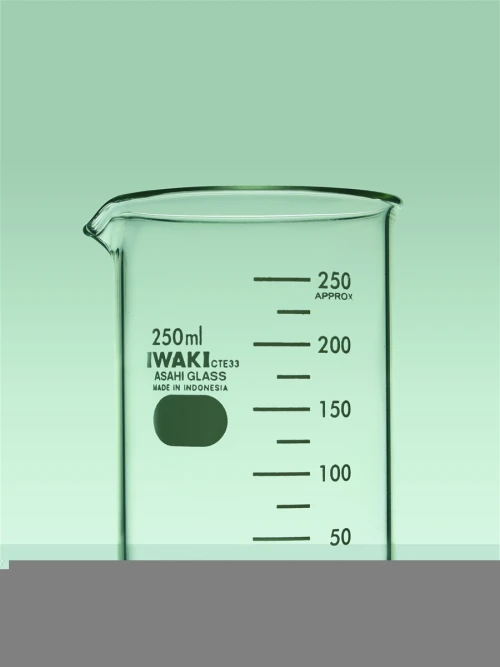 BÌNH ĐỊNH MỨC IWAKI